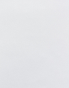 Échantillon Store enrouleur fenêtre de toit 2018 blanc polaire